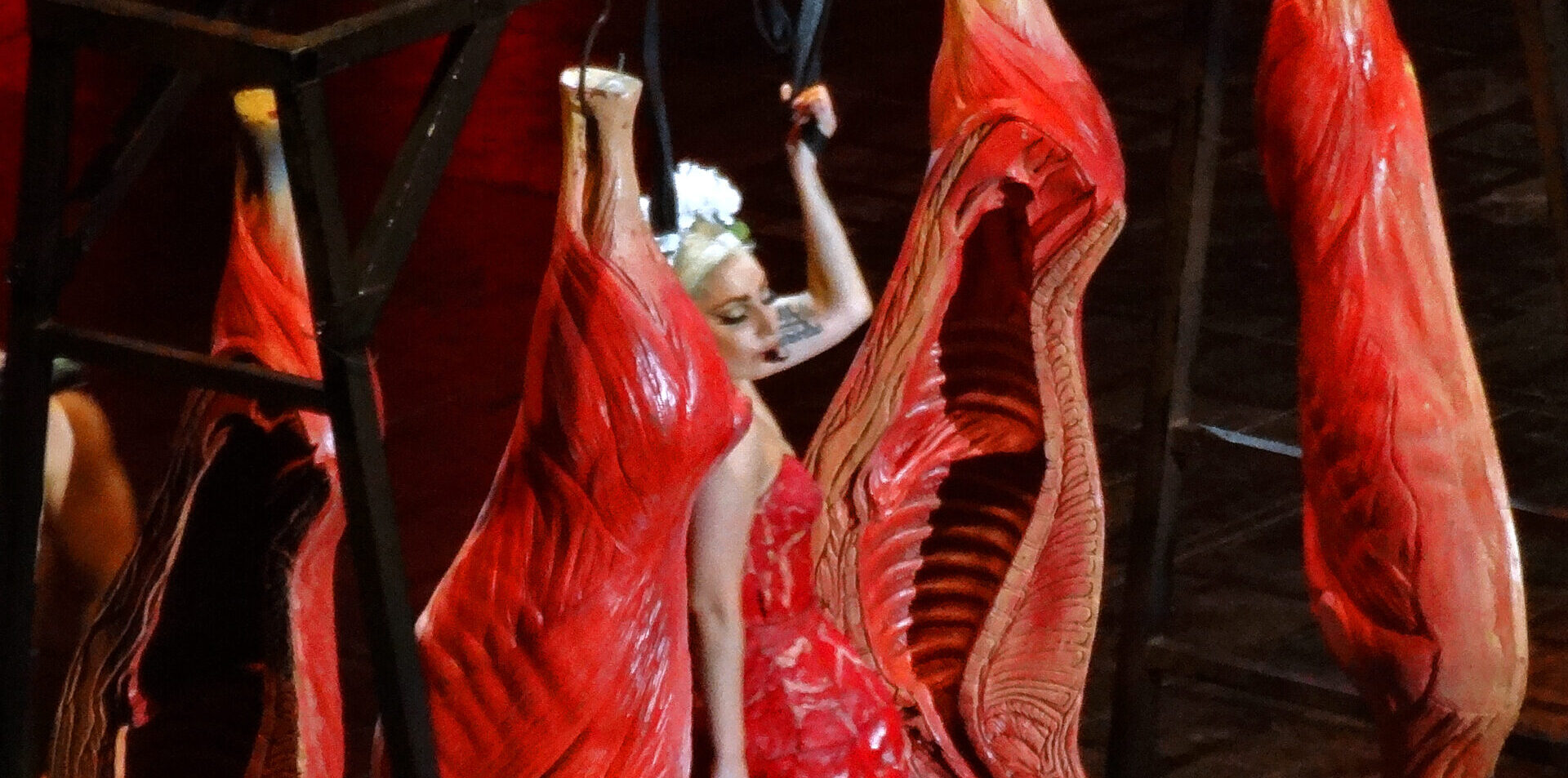 Lady Gaga i jej mięsna sukienka